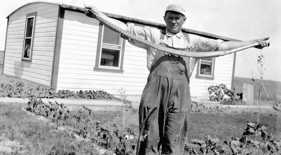 Photo Plumber Covington Kentucky