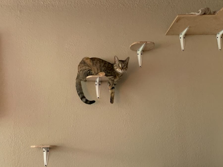 Photo Plumber Service