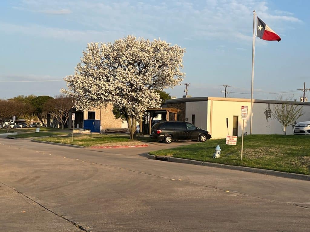 Photo Plumber Pearland Texas