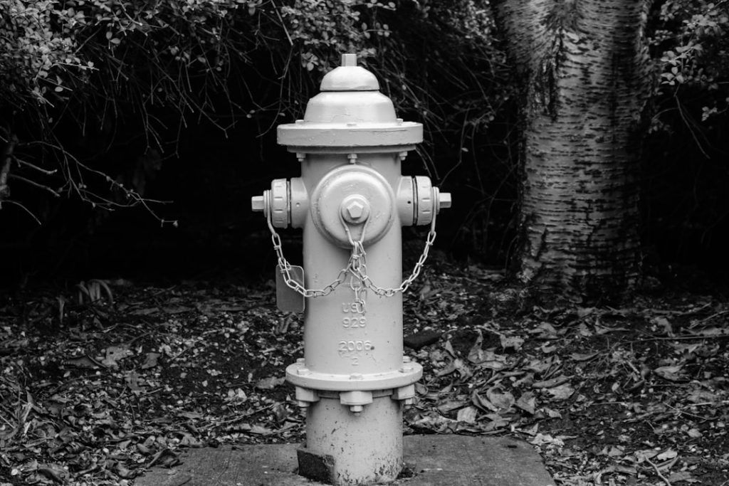 Photo Plumber Cicero Illinois