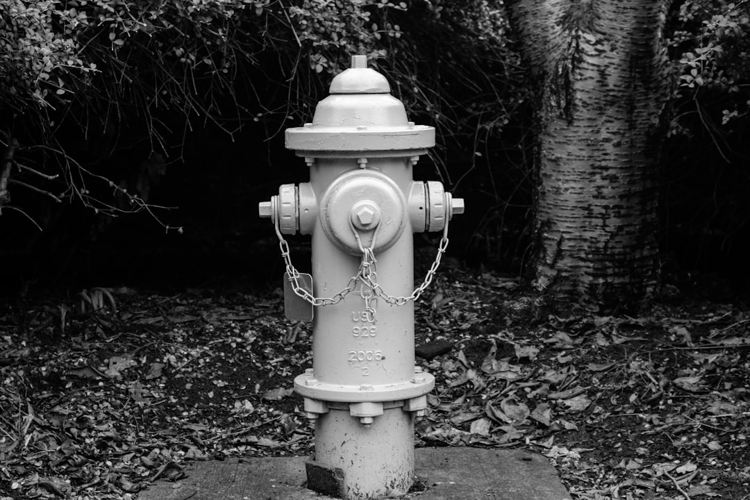 Photo Plumber Cicero Illinois