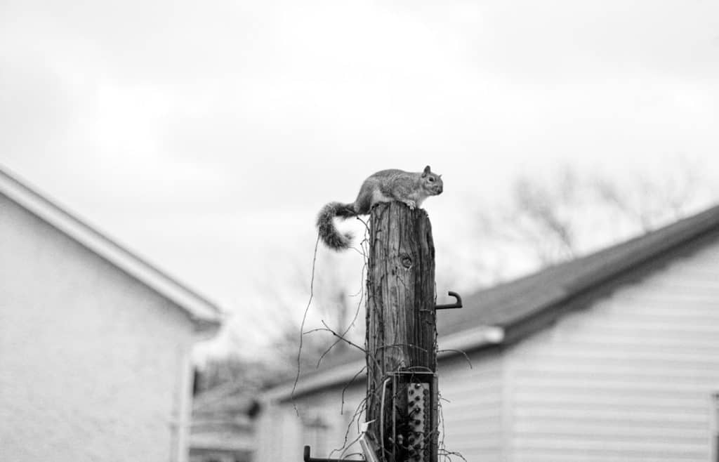 Photo Plumber Lorain Ohio