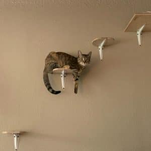 Photo Plumber Service