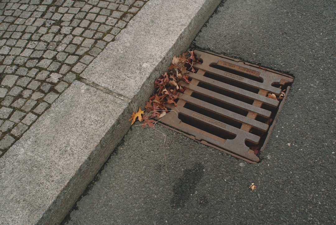 Photo Sewer Line Replacement