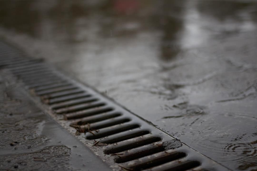 Photo Drain Repair Services