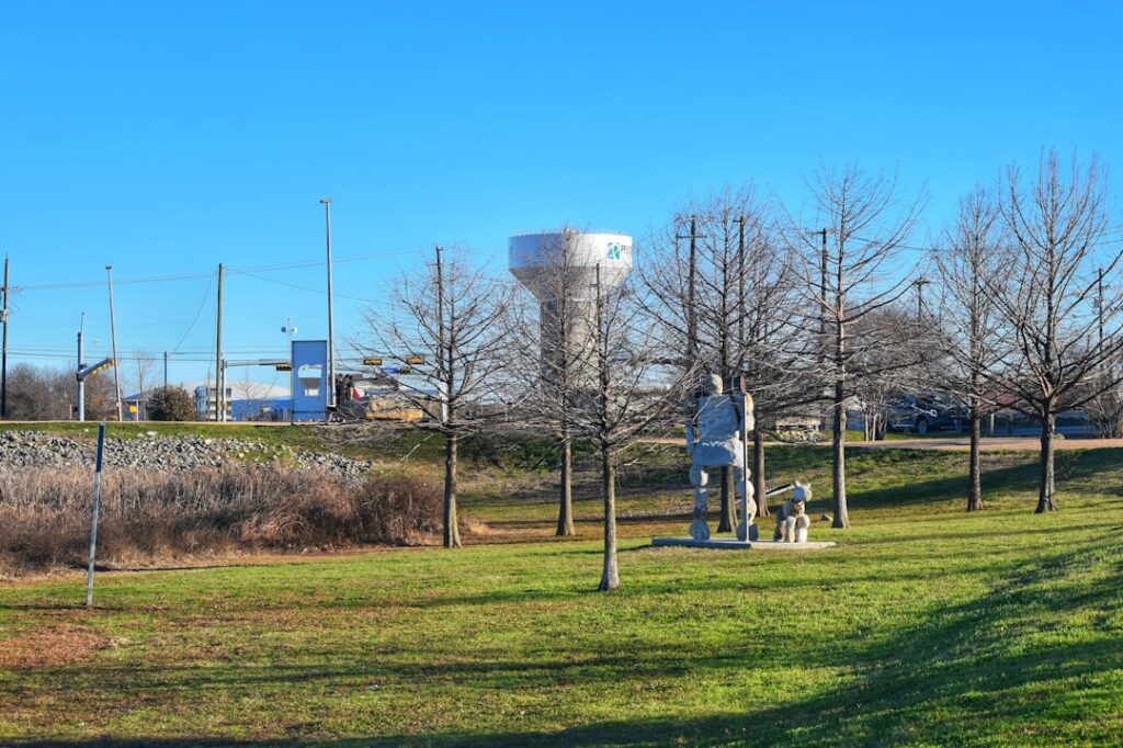 Photo Leak Detection Plumbing Service Allen Texas