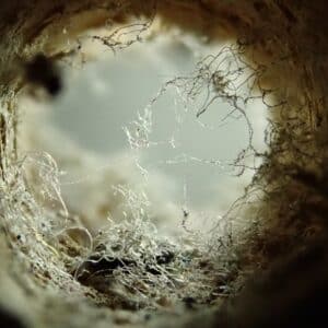 Photo Clogged Drain Repair