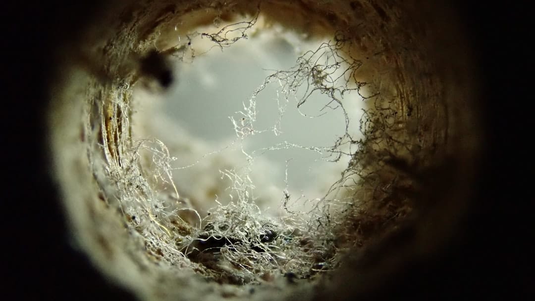 Photo Clogged Drain Repair